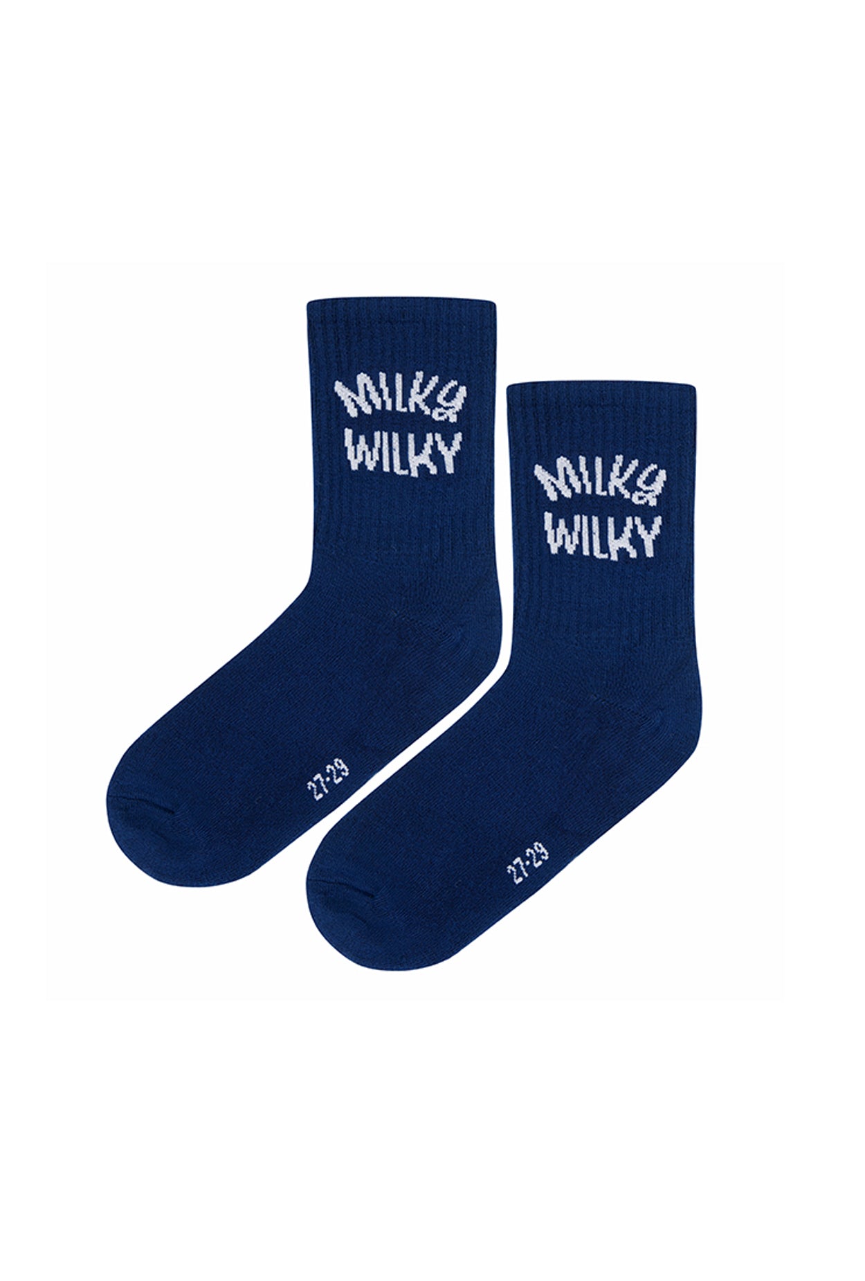 Erkek Çocuk Lacivert Çorap