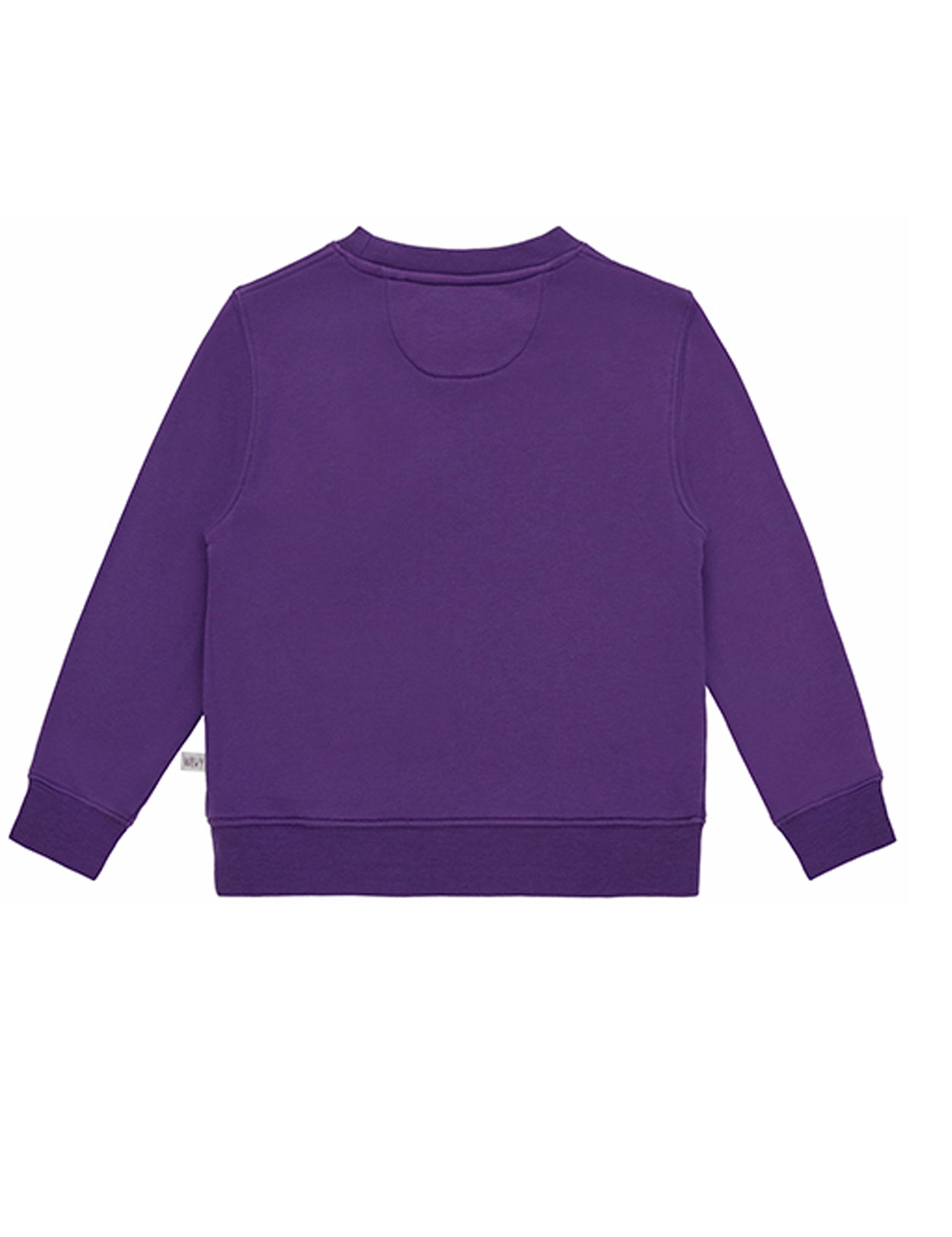 Ses Çıkaran Mor Bisiklet Yaka Sweatshirt