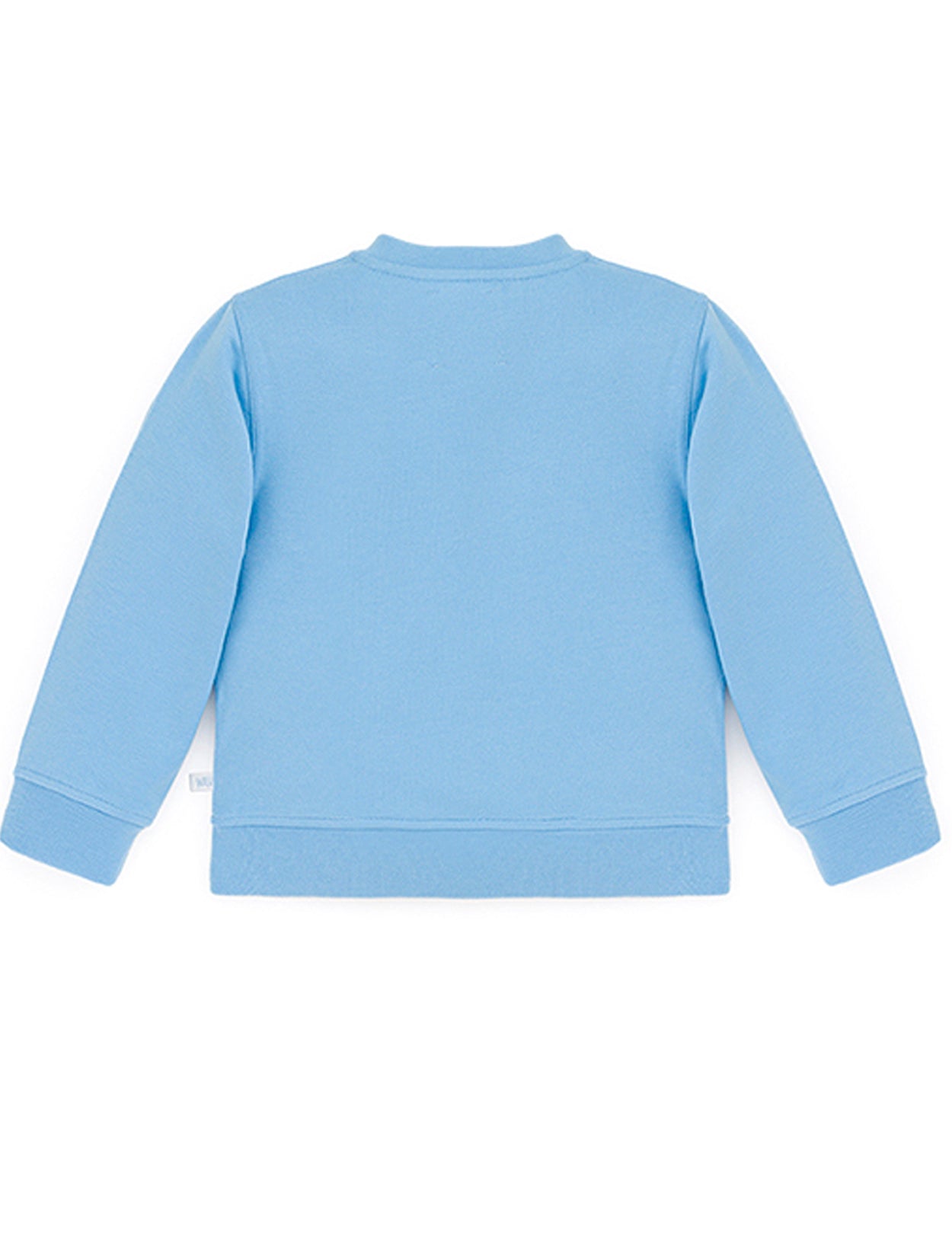 Ses Çıkaran Bebek Mavisi Bisiklet Yaka Sweatshirt