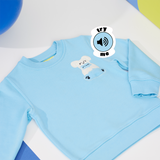 Squeaky Baby Blue Zipped Hoodie Sweatshirt